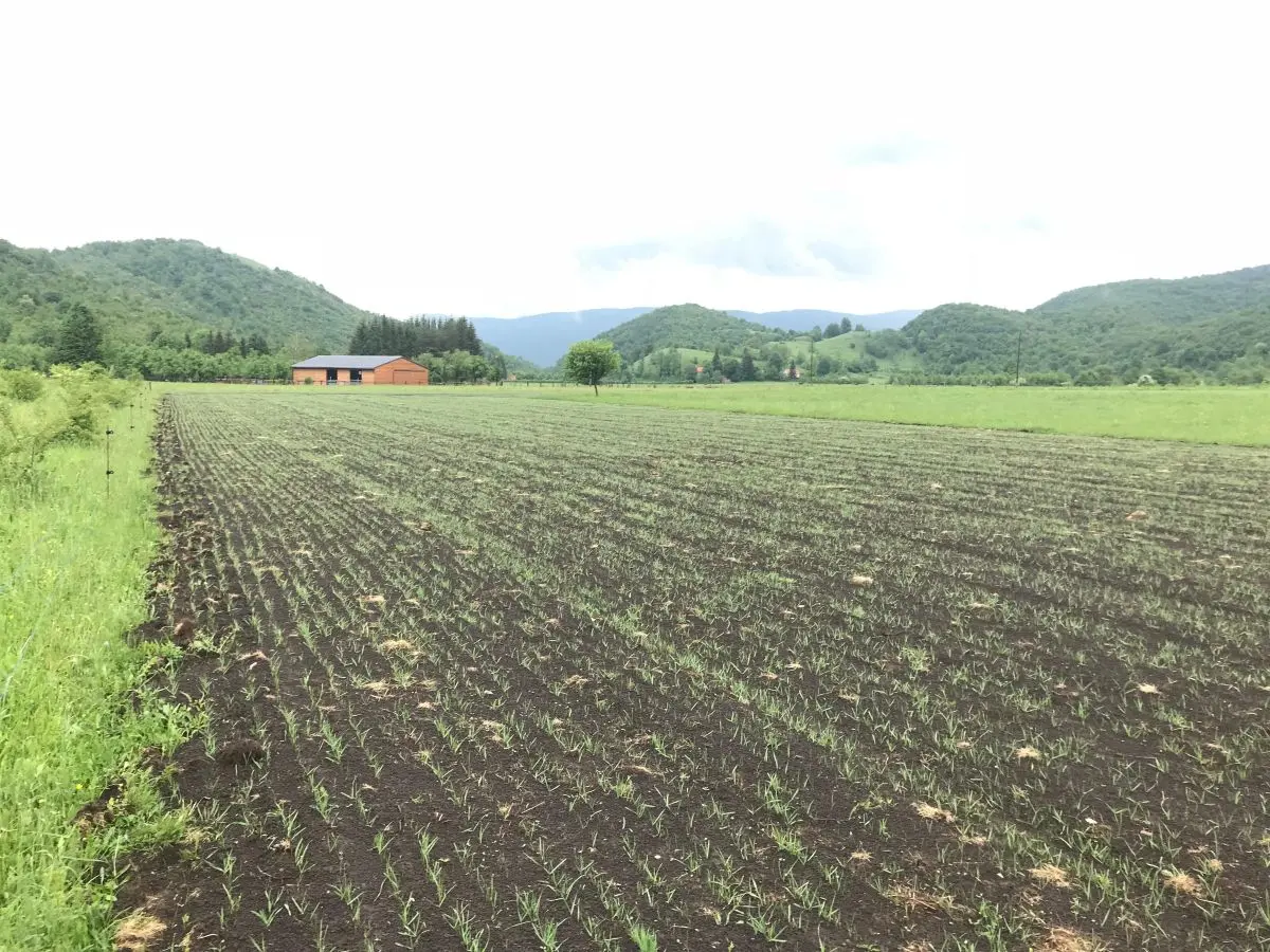 Hranidba – ispaša, krma i kruženje hranjiva